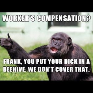 Meet your Posher, Kkris